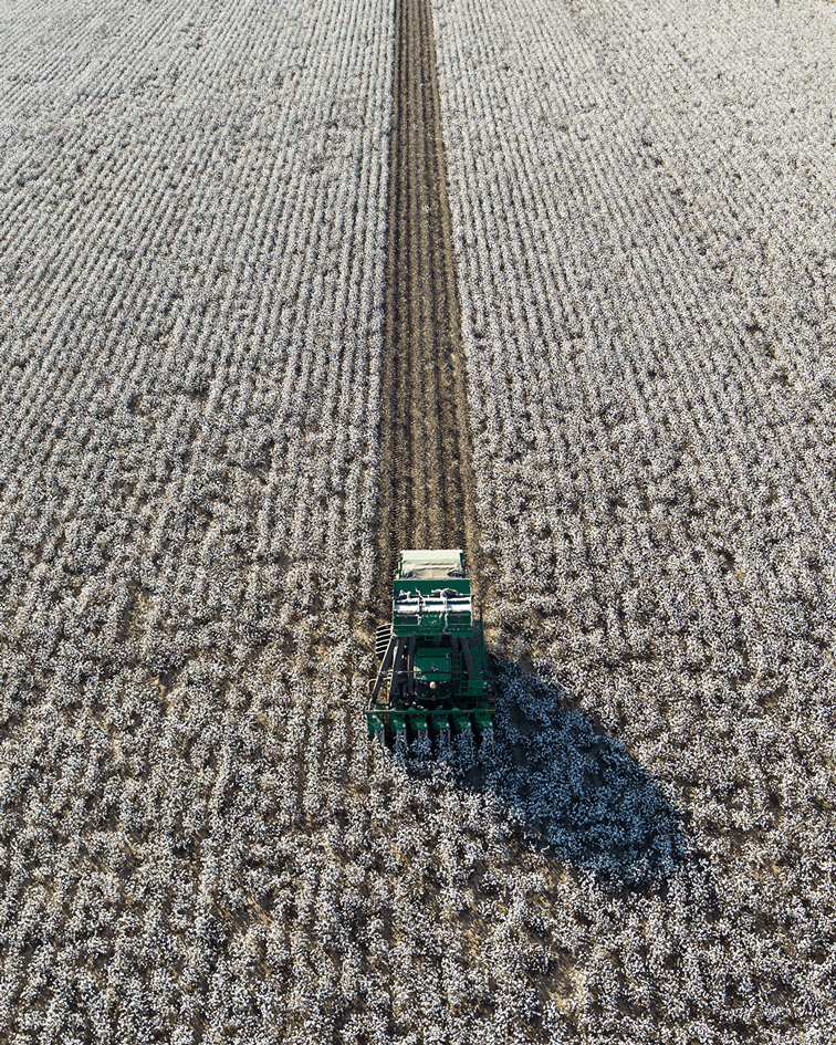 Cotton picker in cotton field aerial